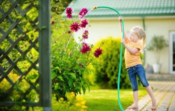 Spider Farmer LED Grow Lights