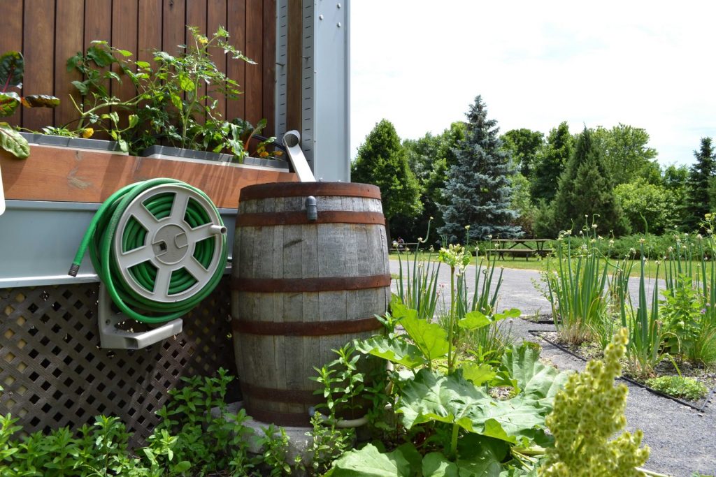 rain barrel outside the home wall