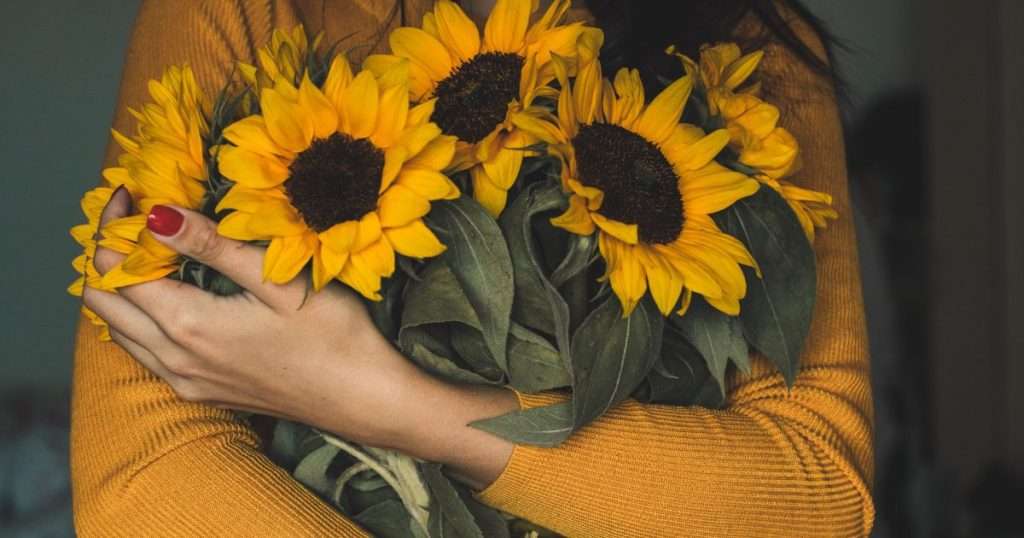 how to dry sunflowers