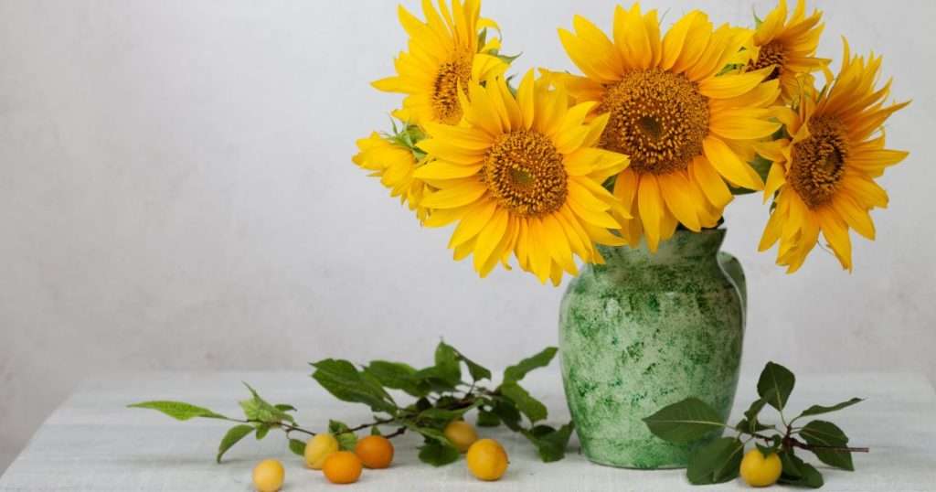 How to dry sunflowers