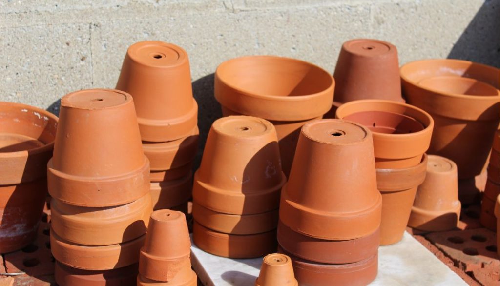 how to clean a terracotta pot