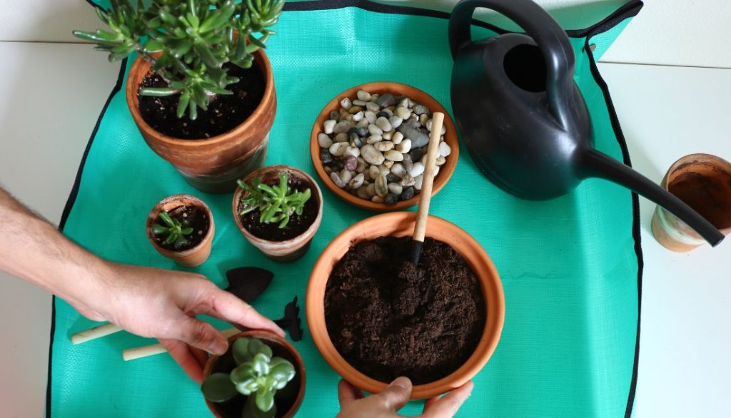 how to clean a terracotta pot