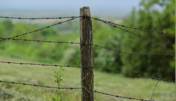 creative Fence Ideas creative Fence Ideas