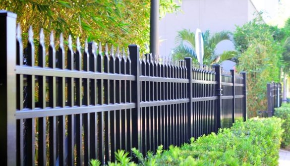 Creative Fence Ideas