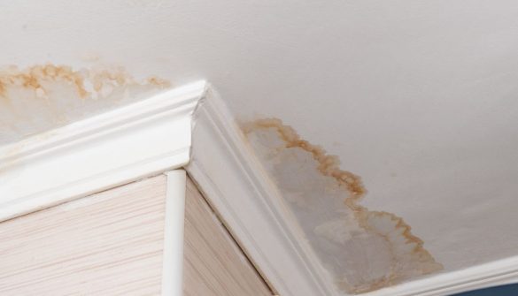 water stain on ceiling